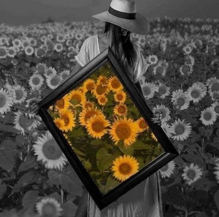 The evil within поле с подсолнухами