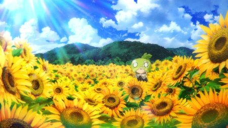 Хаяо миядзаки подсолнухи