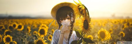 Поле подсолнух