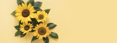 Фон с подсолнухами