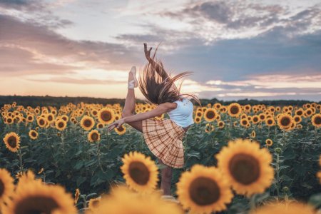 Красивые картины с подсолнухами