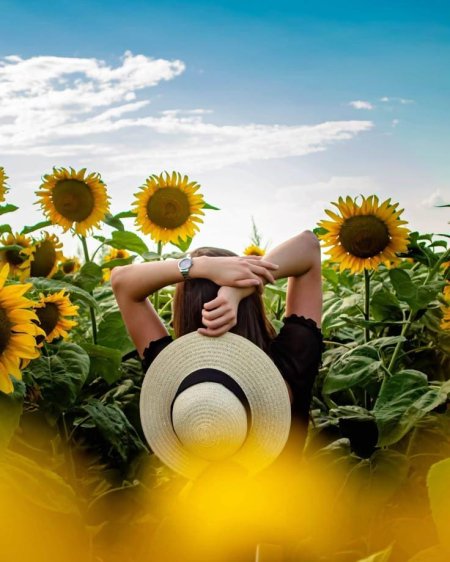 Фотосессия с подсолнухами идеи