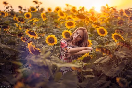 Подсолнух девушка