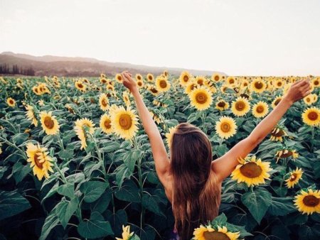 Девушка подсолнух