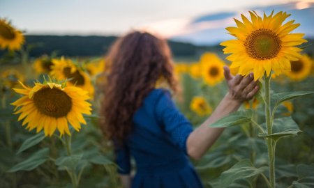 Подсолнух девушка