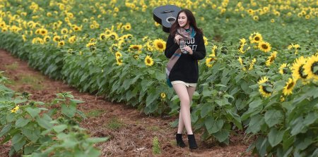 Фотосессия в подсолнухах