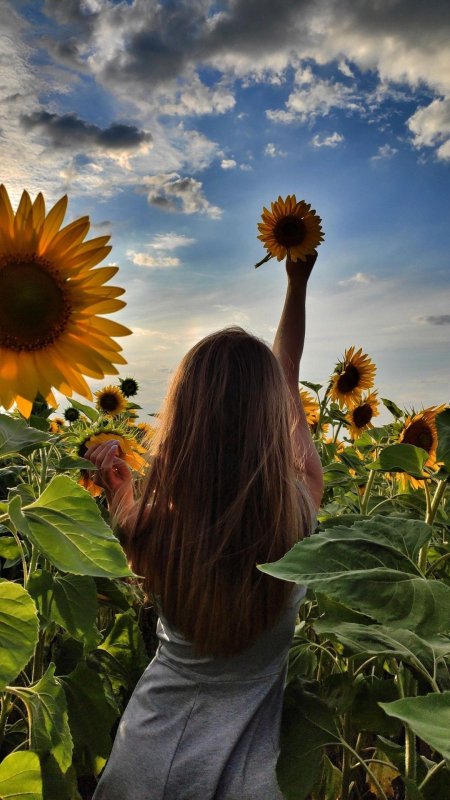 Девушка подсолнух