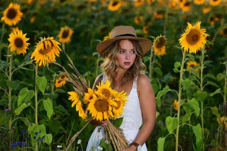 Подсолнух девушка
