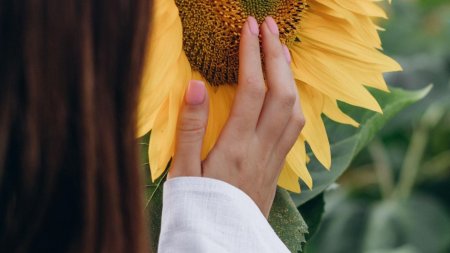 Девушка с подсолнухами