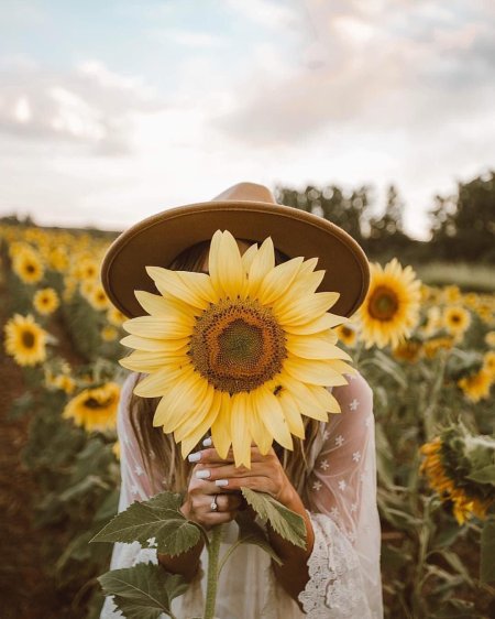 Девушка с подсолнухами