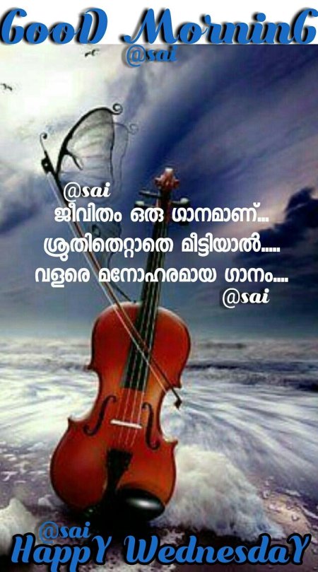 Красивая скрипка