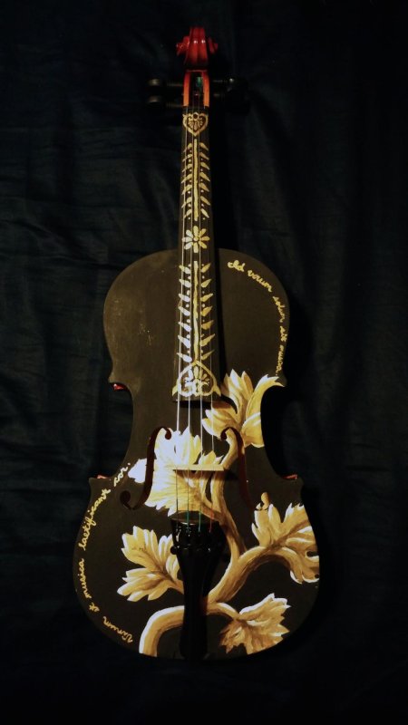 Скрипка музыкальный инструмент