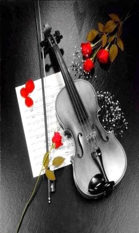 Скрипка музыкальная