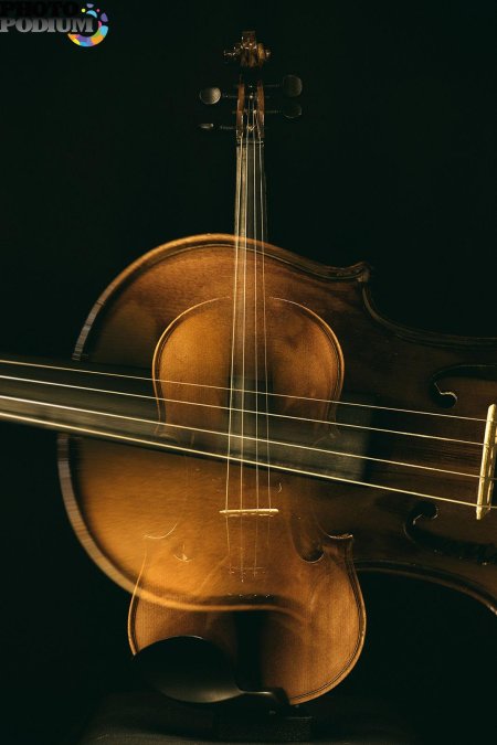 Скрипка музыкальный инструмент