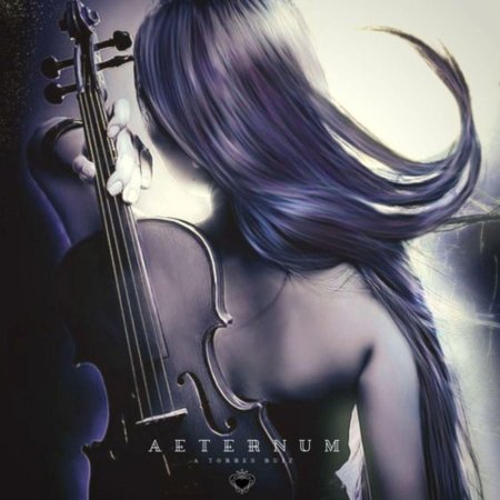 Девушка со скрипкой