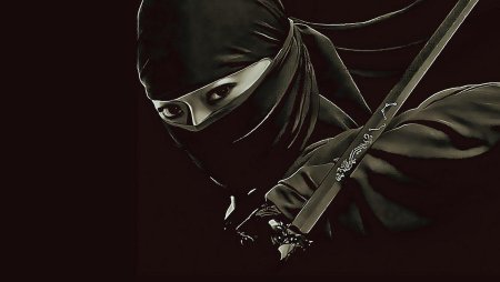 Синоби куноити