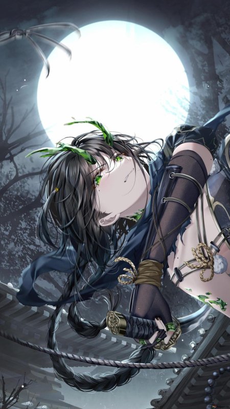 Аниме девушка ниндзя