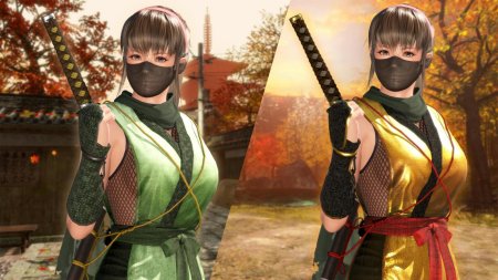 Dead or alive 6