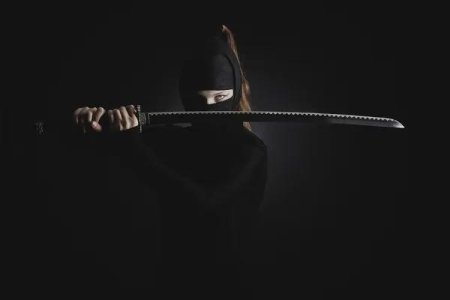 Ниндзя с мечом