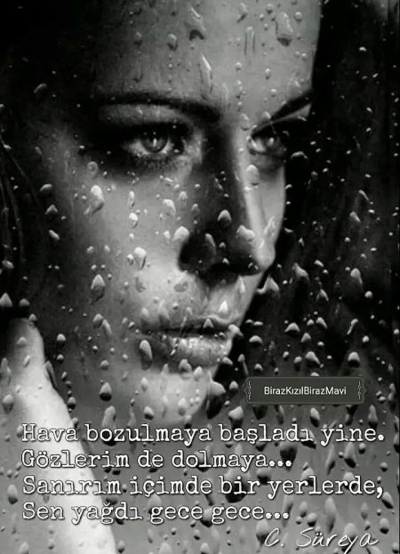 Портретная фотография