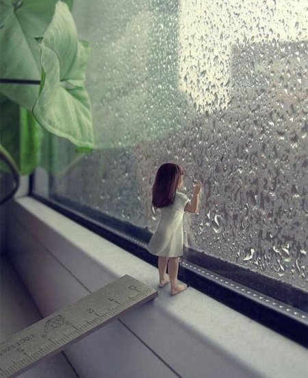 Дождь за окном