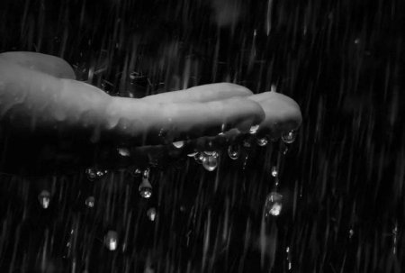 Слёзы в дожде