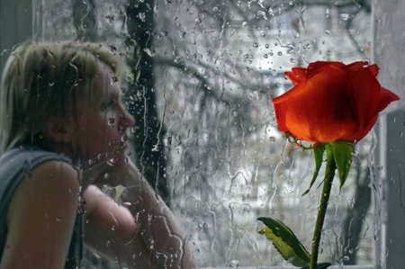 Цветок под дождем