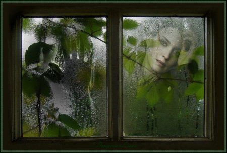 За окном идут дожди
