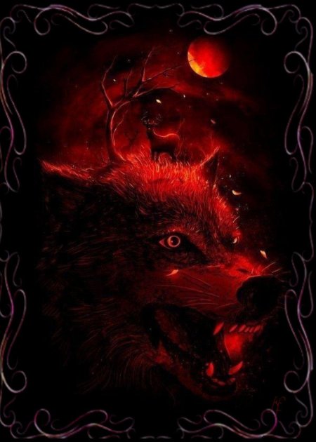 Красный волк