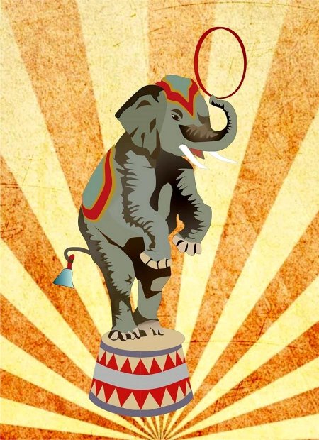 Слон цирковой