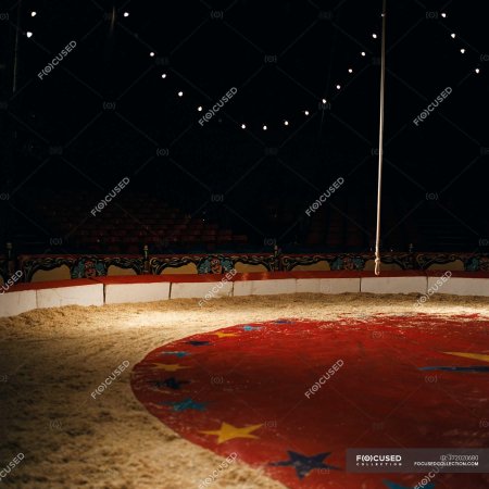 Цирковая арена фон гача