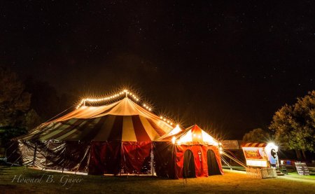 Шатер цирка шапито мансуровых