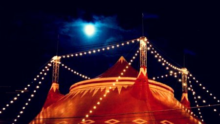 Ночной цирк