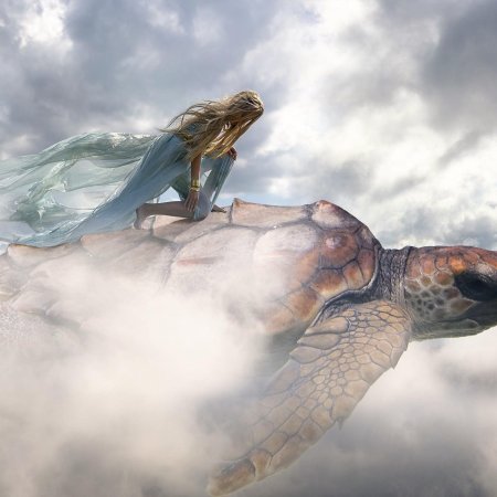 Летающая черепаха