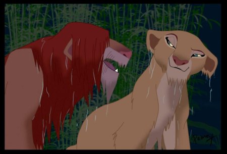 Симба и нала любовь