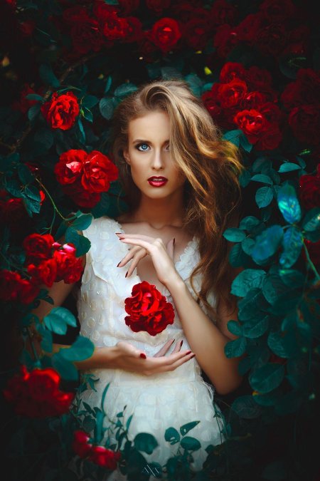 Девушка роза