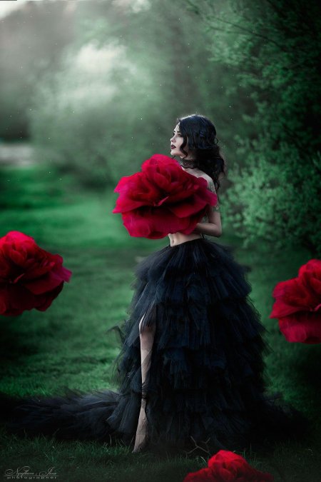 Девушка в пышном платье