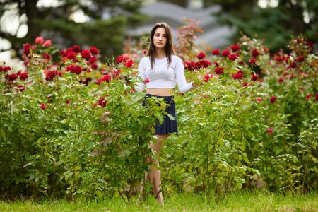 Роза девушка