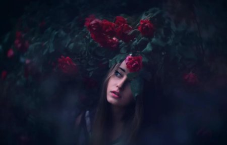 Девушка роза