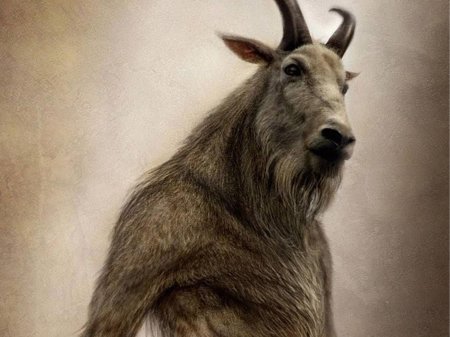 Принс джорджес человек козел