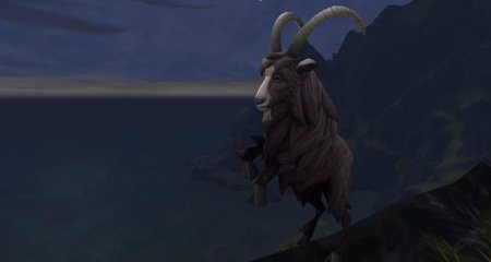 Козел горный