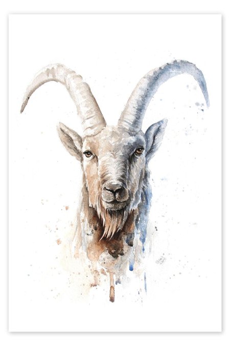 Козерог арт