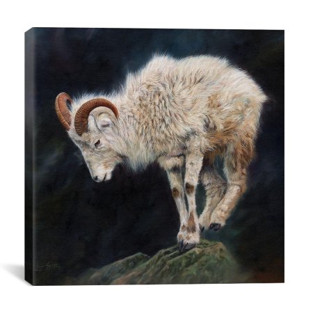 Алтайский горный баран аргали