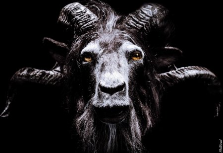 Ламия демон черная коза