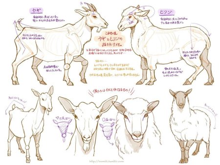 Референс козлов