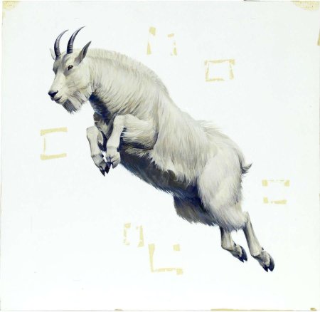 Горный козел рисунок