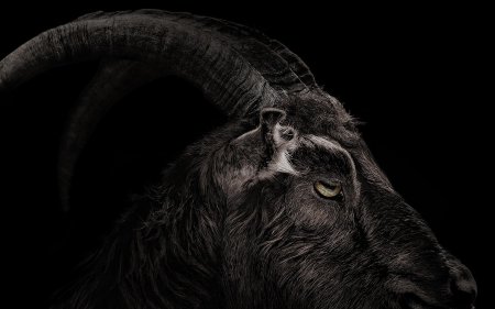 Чёрный козел