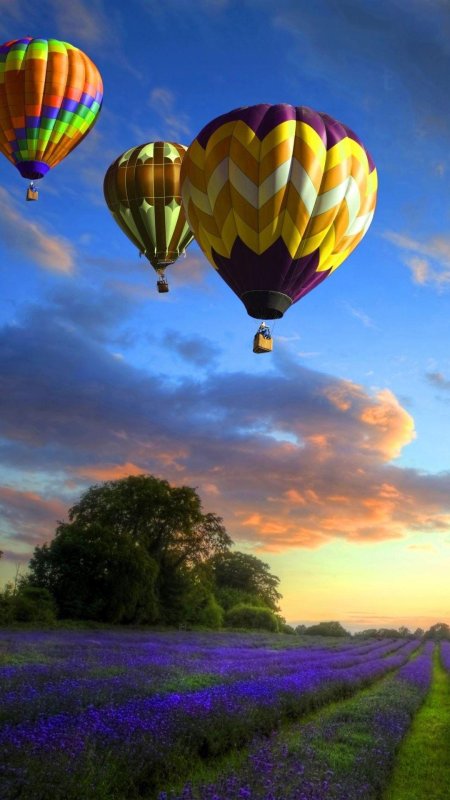 Hot air balloon