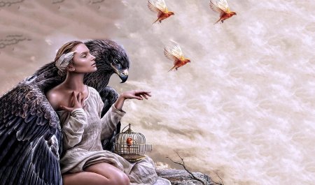 Женщина птица