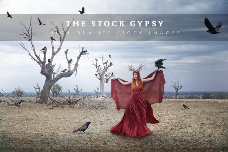 Девушка с птицей